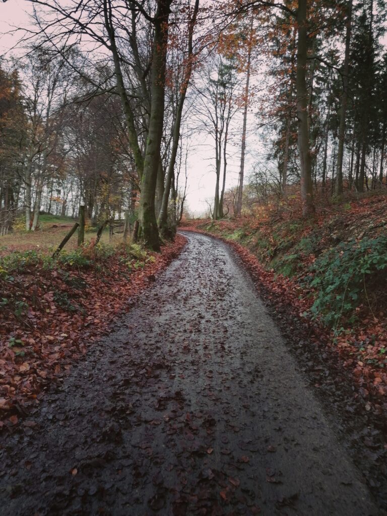 la thérapie en marchant (walkingtherapy)